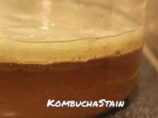 KombuchaStain
