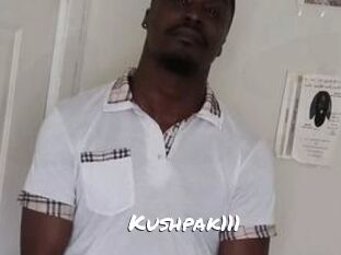 Kushpak111