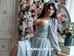 kamillarey Ochranne Siete