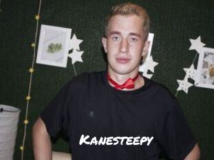 Kanesteepy