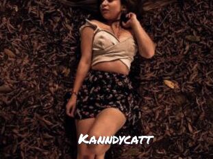 Kanndycatt