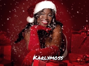 karlymoss Ochranne Siete