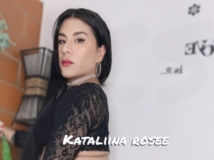 kataliina_rosee Ochranne Siete