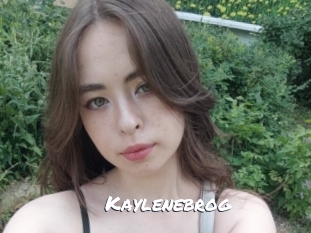 Kaylenebrog