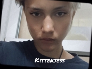 Kittenjess