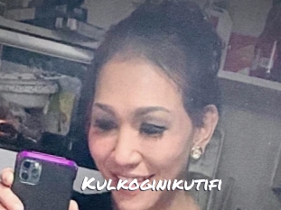 Kulkoginikutifi
