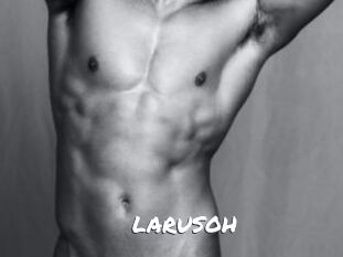 LARUSOH Ochranne Siete