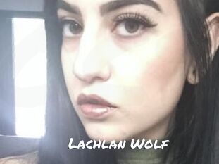 Lachlan_Wolf