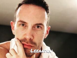 Leeandru