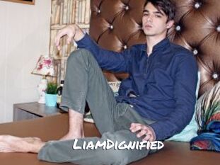 LiamDignified