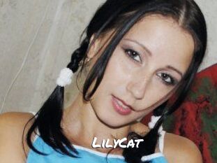 Lily_Cat_