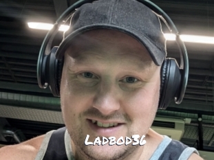 ladbod36 Ochranne Siete