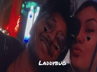 Laddybug