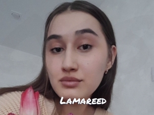 Lamareed