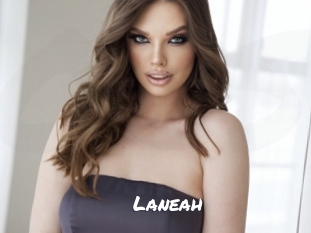 laneah Ochranne Siete
