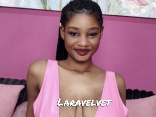 laravelvet Ochranne Siete