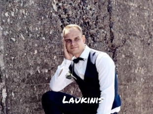 Laukinis