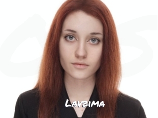 lavbima Ochranne Siete