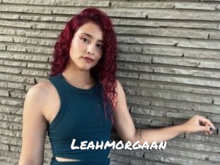 Leahmorgaan