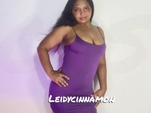 leidycinnamon Ochranne Siete