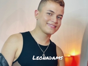 leonadams Ochranne Siete