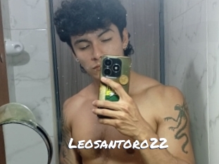 leosantoro22 Ochranne Siete