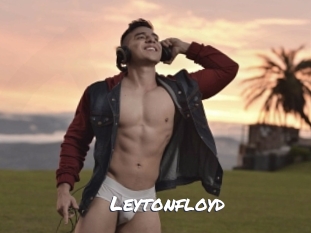 leytonfloyd Ochranne Siete