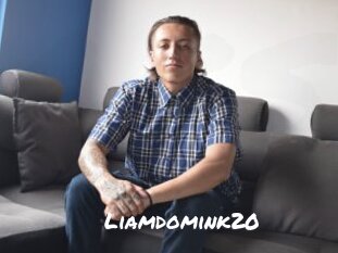 Liamdomink20