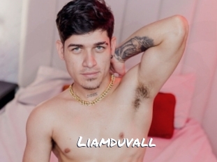 liamduvall Ochranne Siete