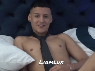liamlux Ochranne Siete