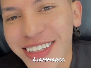 liammarco Ochranne Siete