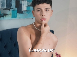liancolins Ochranne Siete