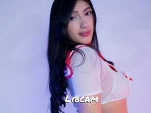 Libcam