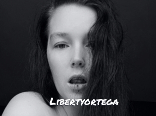 libertyortega Ochranne Siete