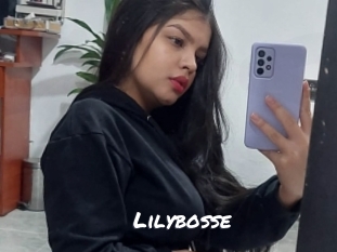 Lilybosse