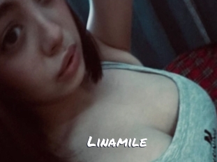 linamile Ochranne Siete