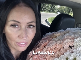 lipawild Ochranne Siete