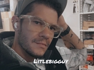 Litlebigguy