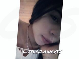 LittleflowerTS