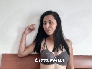 Littlemini