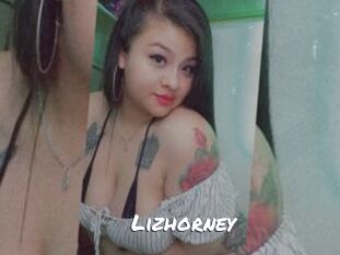 Lizhorney