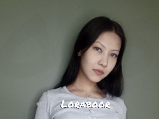 loraboor Ochranne Siete