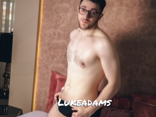 lukeadams Ochranne Siete