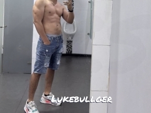 lukebullger Ochranne Siete