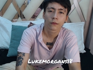 lukemorgans18 Ochranne Siete