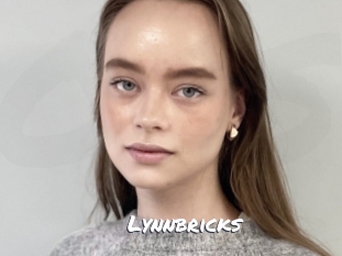 Lynnbricks