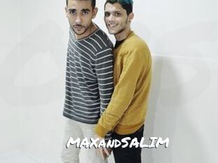 MAXandSALIM