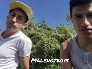Malehotboys