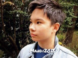 Mandi2013