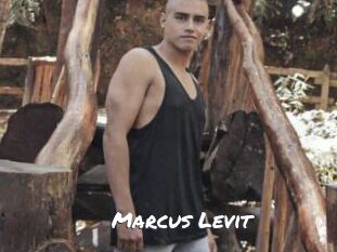 Marcus_Levit